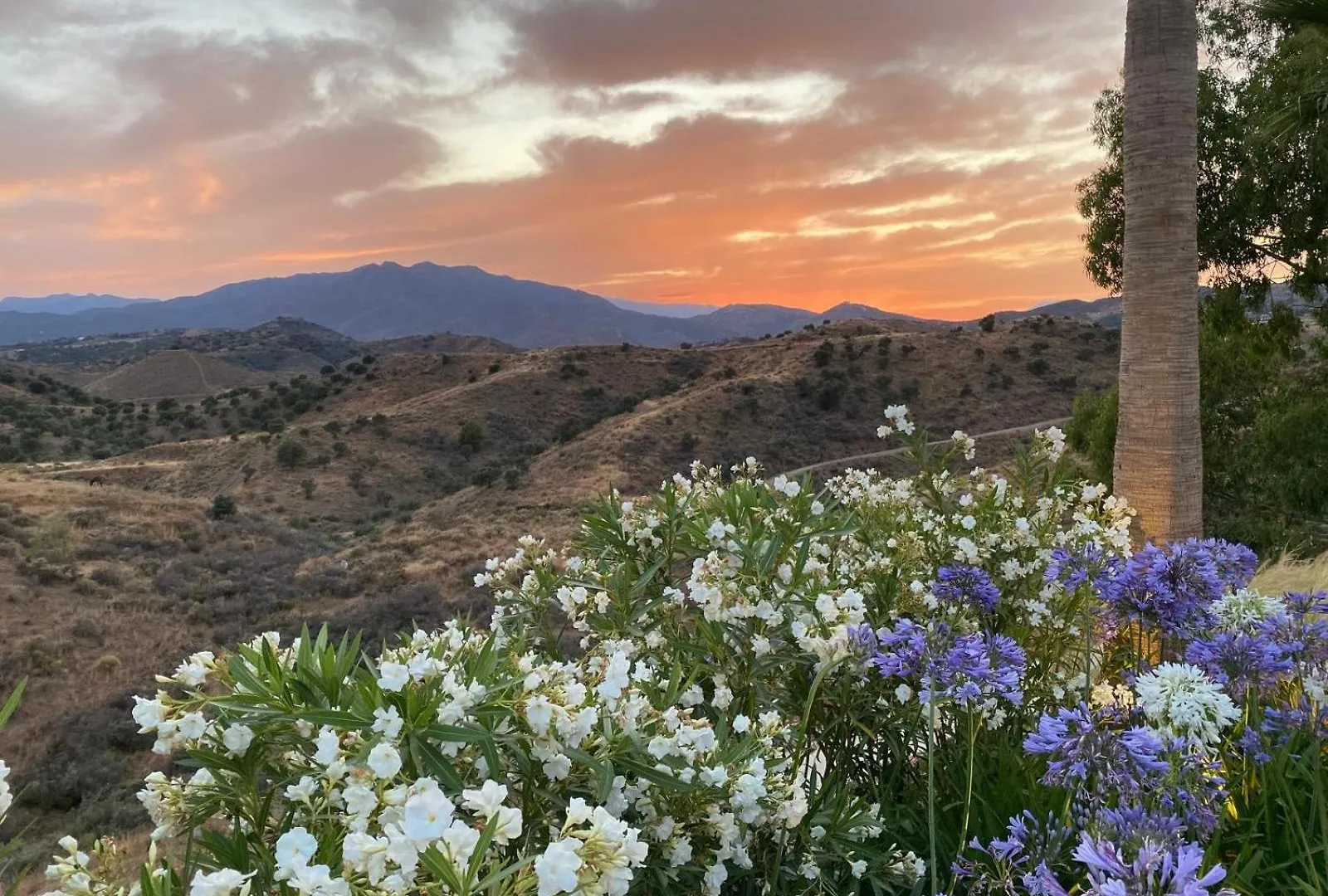 Finca Mis Alas ميخاس فيلة